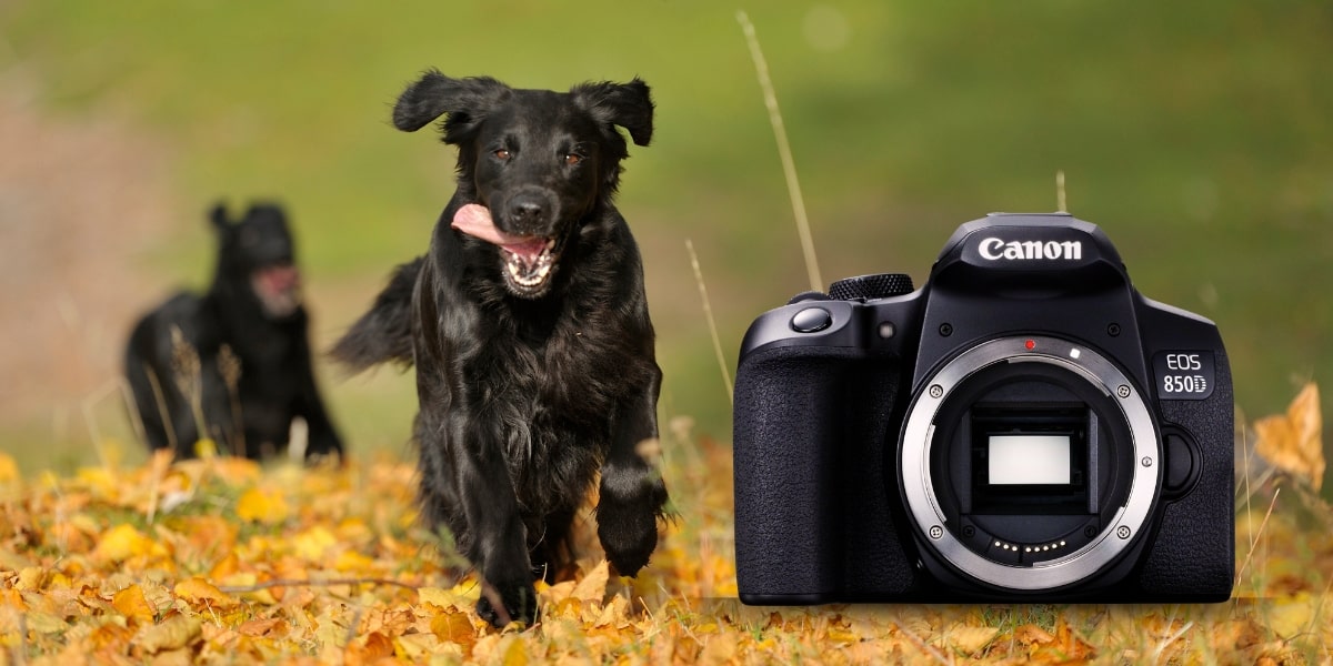 Canon EOS 850D